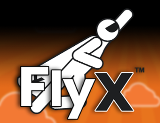 FlyX